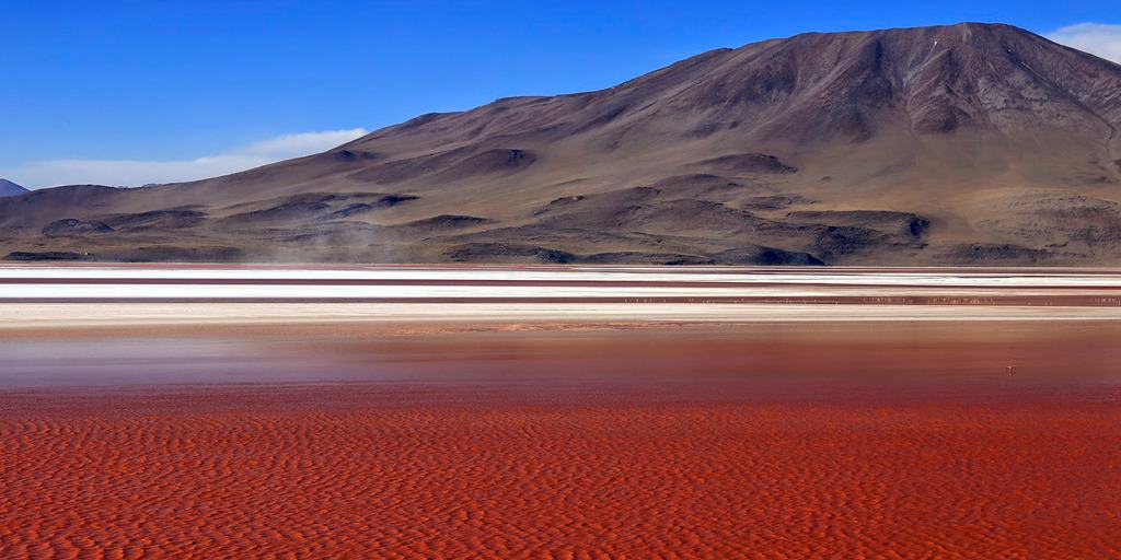 laguna-colorada2