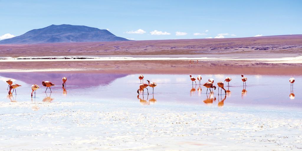 laguna-colorada2